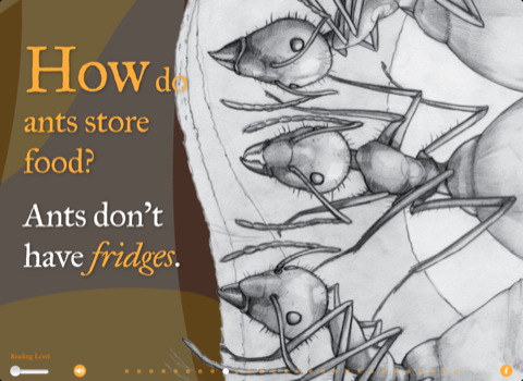 ants.jpg The Strange and Wonderful World of Ants